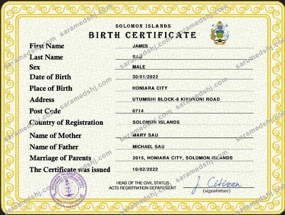 Solomon vital record birth certificate PSD template